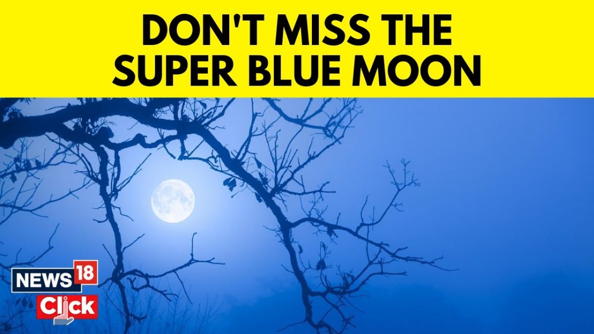 Blue Supermoon August 2023 | Explained: What Is A Super Blue Moon ...