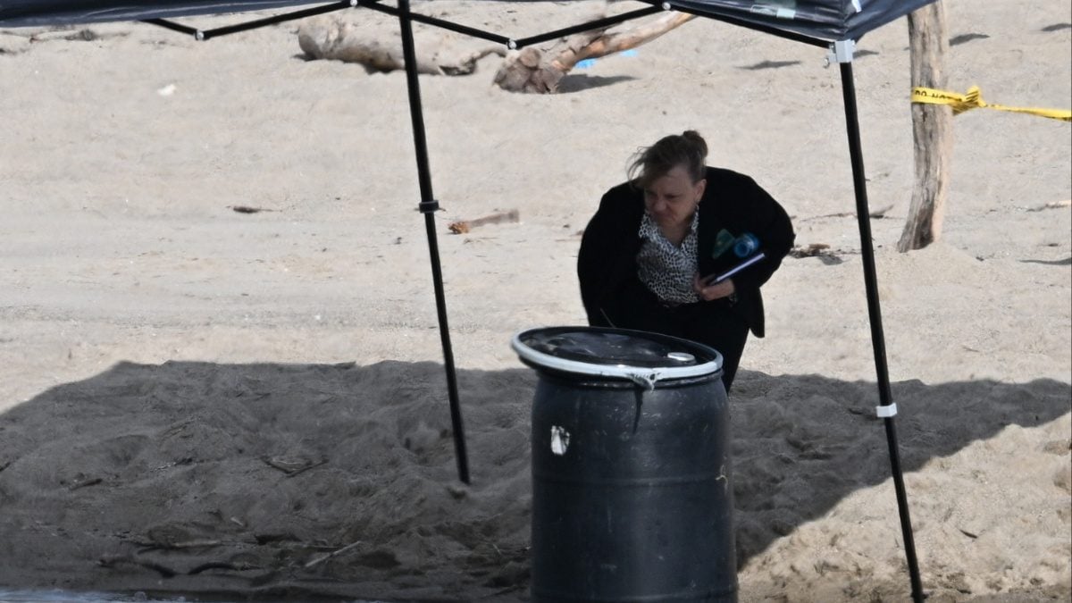 Body Stuffed in Barrel found in California’s Malibu Beach | World News ...