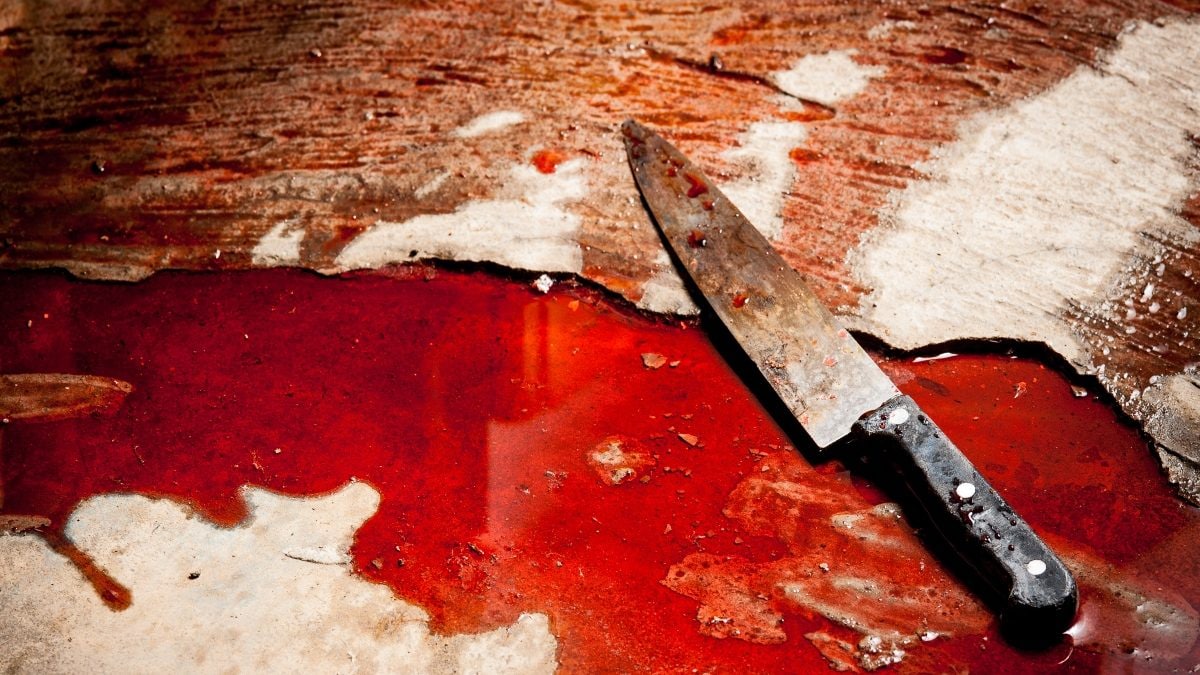 One Night, Three Stabbings & A Death: Delhi Cops Nab Two, Search On For Third Accused - Vimarsana News