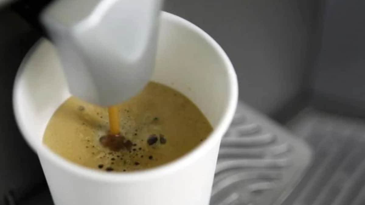 Paper Cups as Toxic as Plastic Ones When End Up in Nature, Study ...