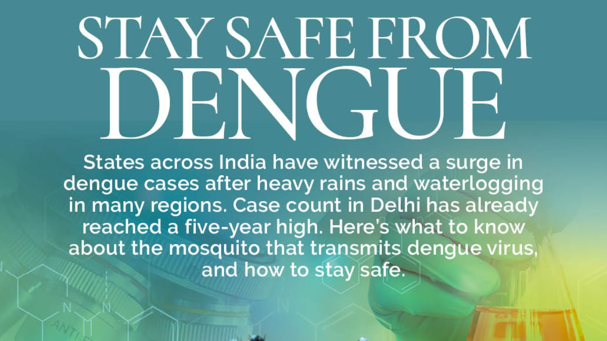Why Dengue Cases Are On Rise In India And How To Protect Yourself