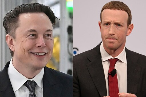 Elon Musk Mark Zuckerberg Fight To Be Held In Italy Livestreamed On Meta And X News18 8000