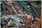 Himachal Pradesh Rains LIVE: Over 60 Deaths This Week, Shimla, Mandi Worst-Hit; Schools Shut