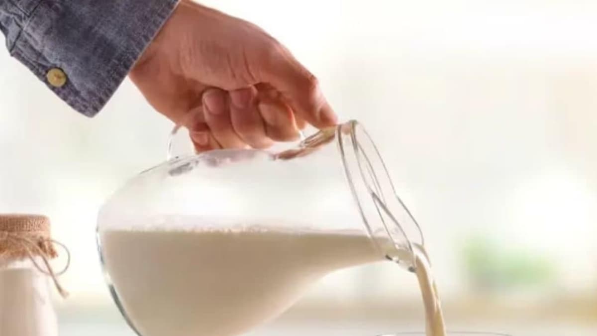 5 Well being Advantages Of Milk When Combined With A Spoon Of Ghee – News18