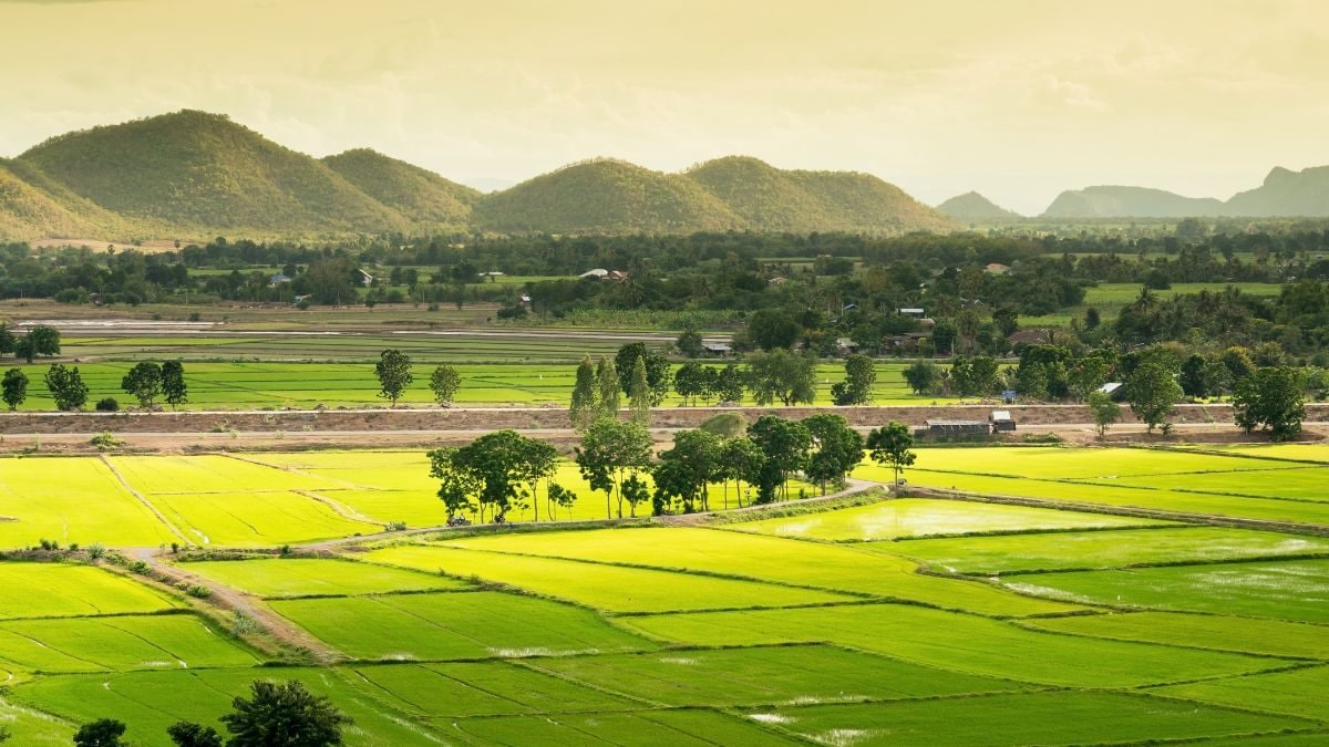 9.8 Crore Rural Land Parcels Tagged With Unique Number, Project to be Rolled Out for Urban India Too - News18