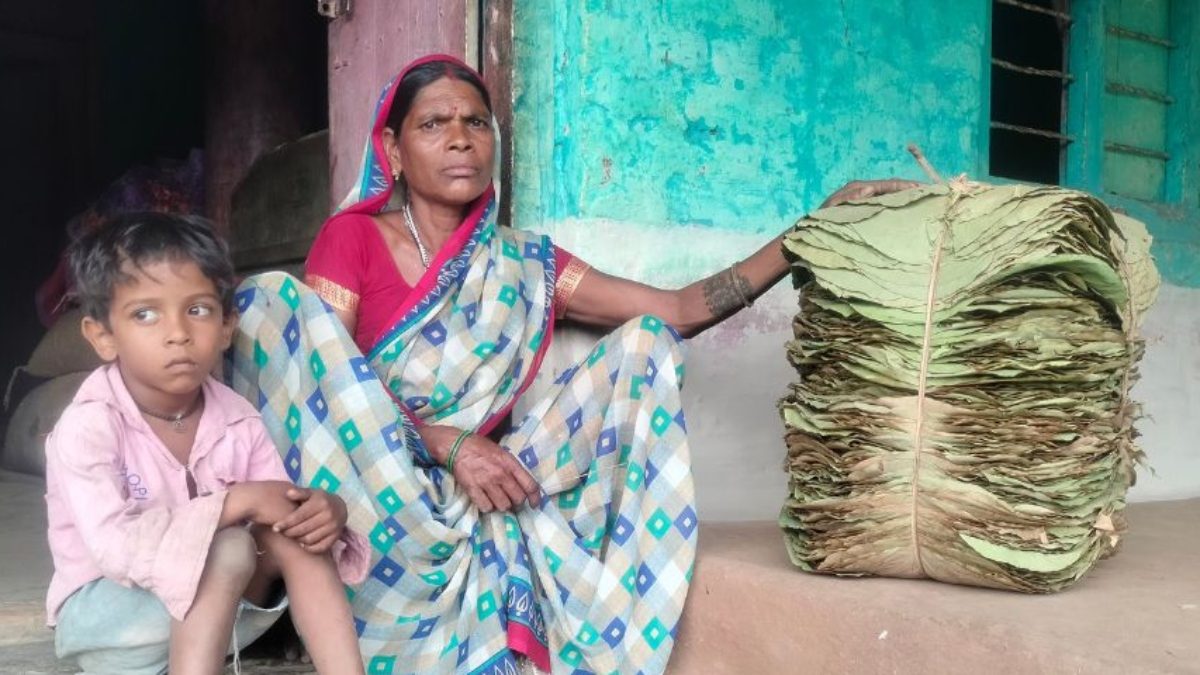Madhya Pradesh: Forest Fires Threaten the Livelihoods of Dona-Pattal Makers in Betul – News18