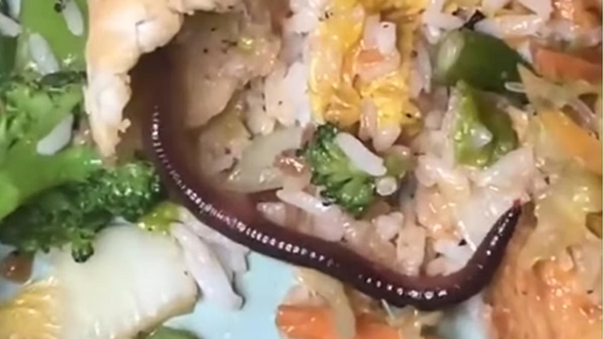 ‘Not Funny At All’: Worm Crawling Out Of Spring Roll Disgusts Internet