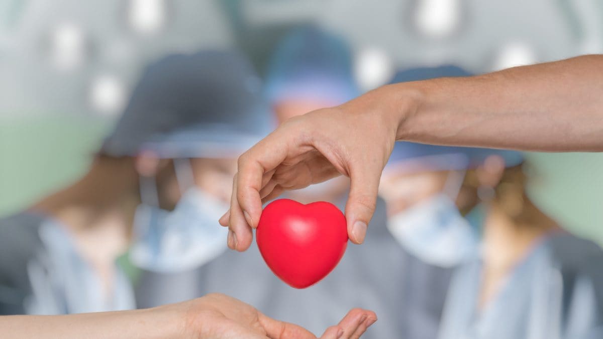 Heart Transplant Day 2023: Evolution of Heart Transplant Practices