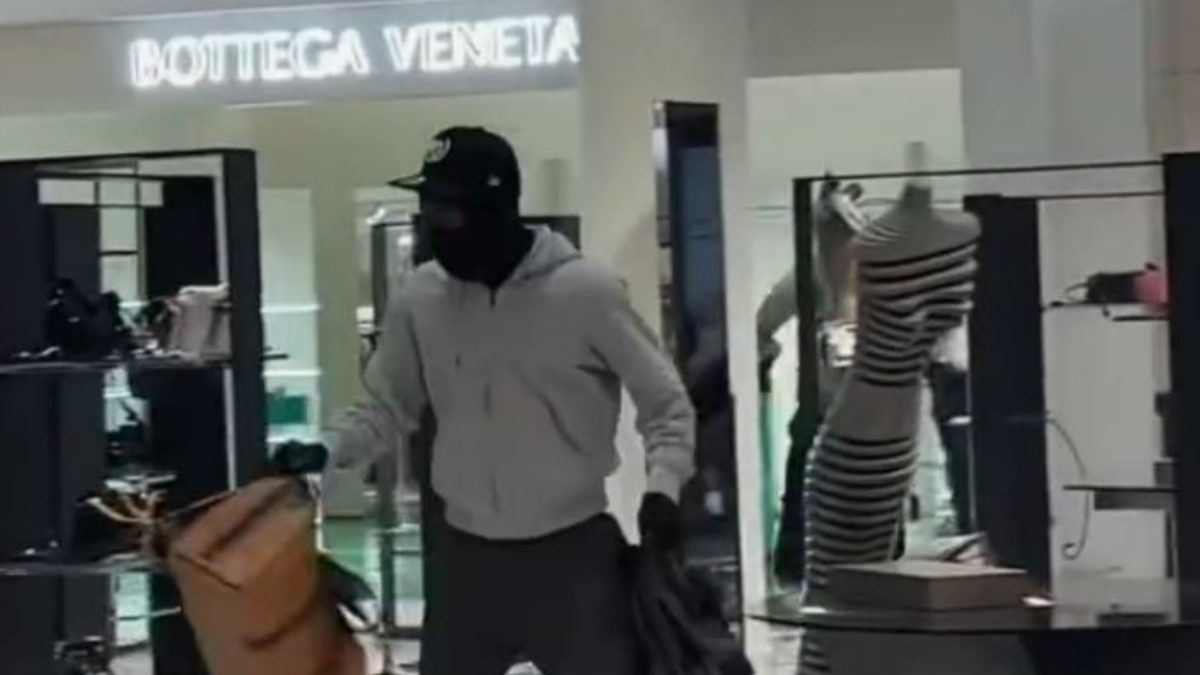 WATCH | Crime in Los Angeles Spirals Out of Control as Smash-and-Grab Mobs Terrorize City - Vimarsana News