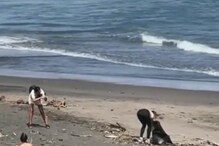 Beach News: Latest Beach News and Updates at News18