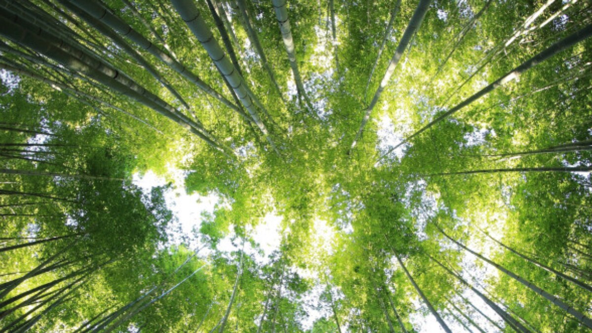 Earth Overshoot Day is Here, Highlighting Global Disparities in Resource Use - Vimarsana News