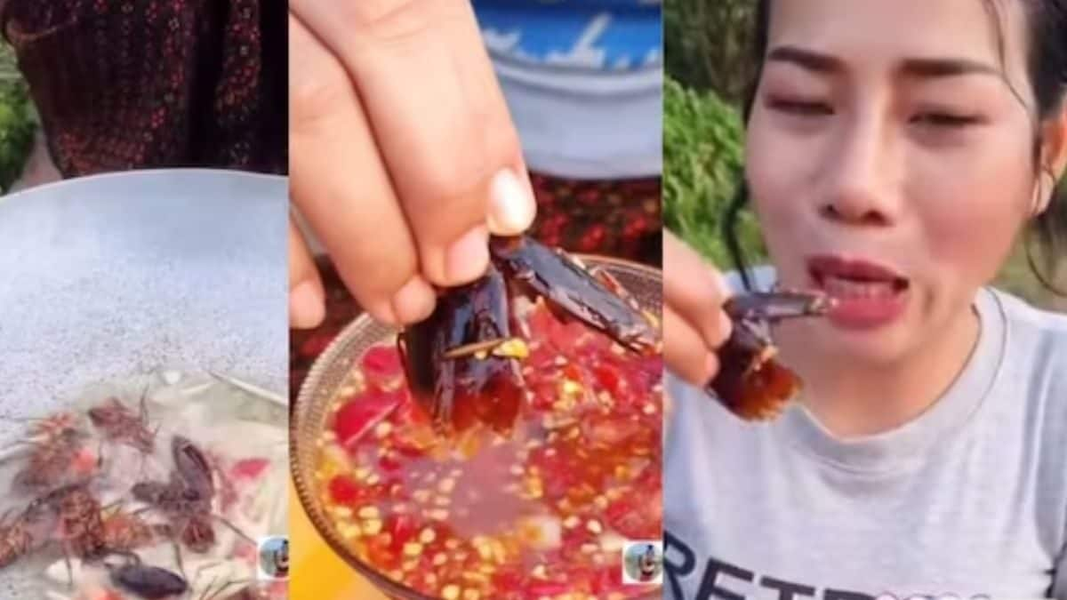 Watch: Woman Eats Fried Cockroaches With Tomato Chili Sauce; Internet 'Disgusted'