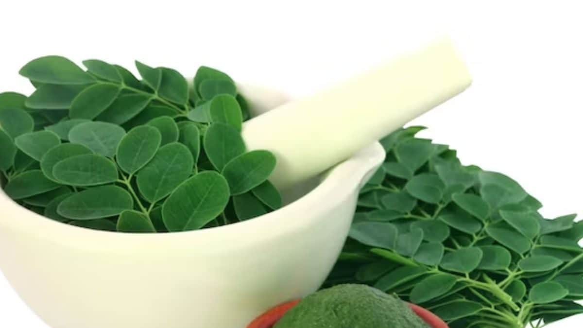 Expert Explains 3 Health Benefits Of Consuming Drumsticks News18