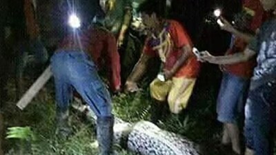When A 23-Feet Python Swallowed Indonesian Farmer In One Go | Viral ...