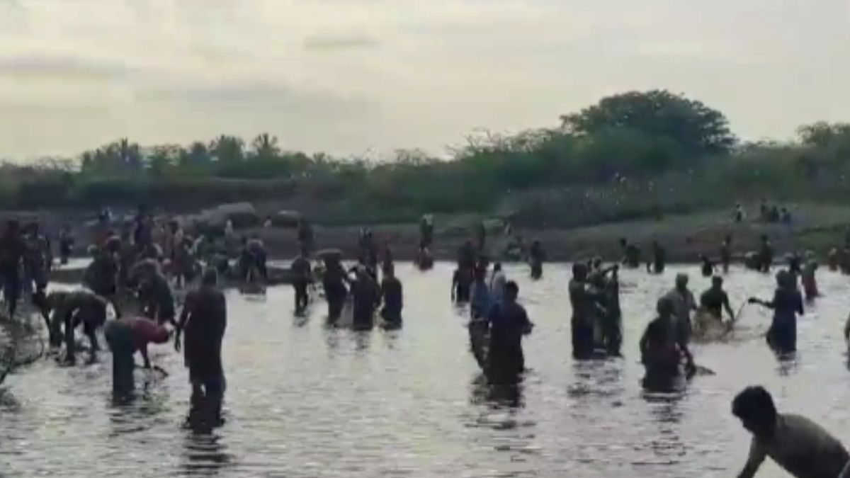 At This Tamil Nadu Village, What It Seems to be Like To Rejoice 100 Years Of A Fish Competition – News18