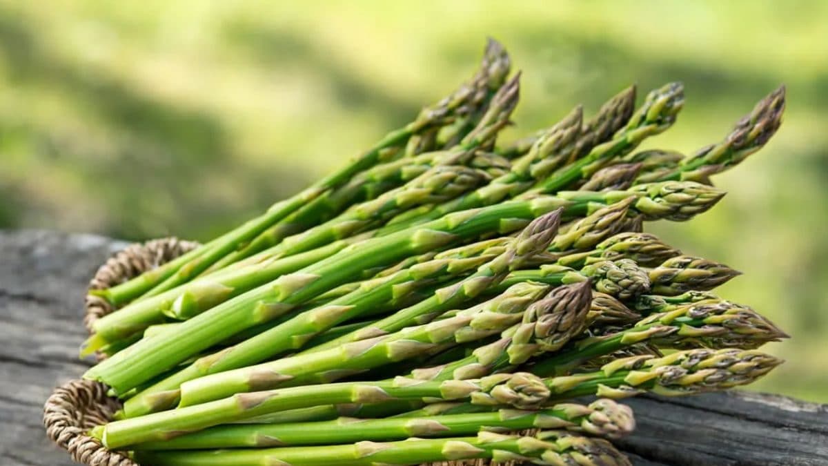 Selling Weight Loss To Boosting Fertility, 4 Wonderful Well being Advantages Of Asparagus – News18