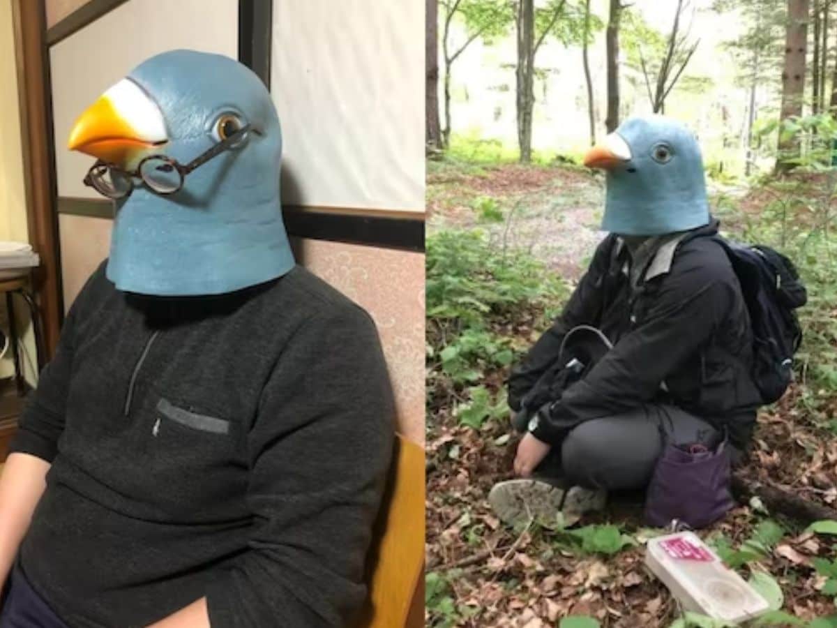 Tokyo Scientist Wears Bird Mask As A 'Disguise' For One Year To Study Their  Language - News18