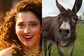 This Version Of Tamannaah Bhatia’s Kaavaalaa Will Take You On A Laughter Ride