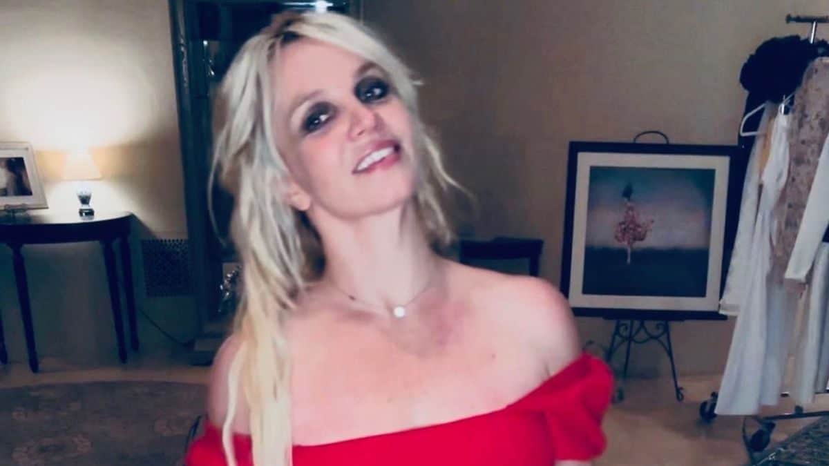 Britney Spears Faces Backlash From PETA For Purchasing New Puppy Amid Divorce Drama - Vimarsana News