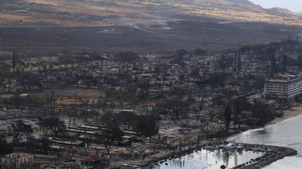 Hawaii's Deadly Wildfire: Death Toll Hits 53, Expected to Rise Higher - Vimarsana News
