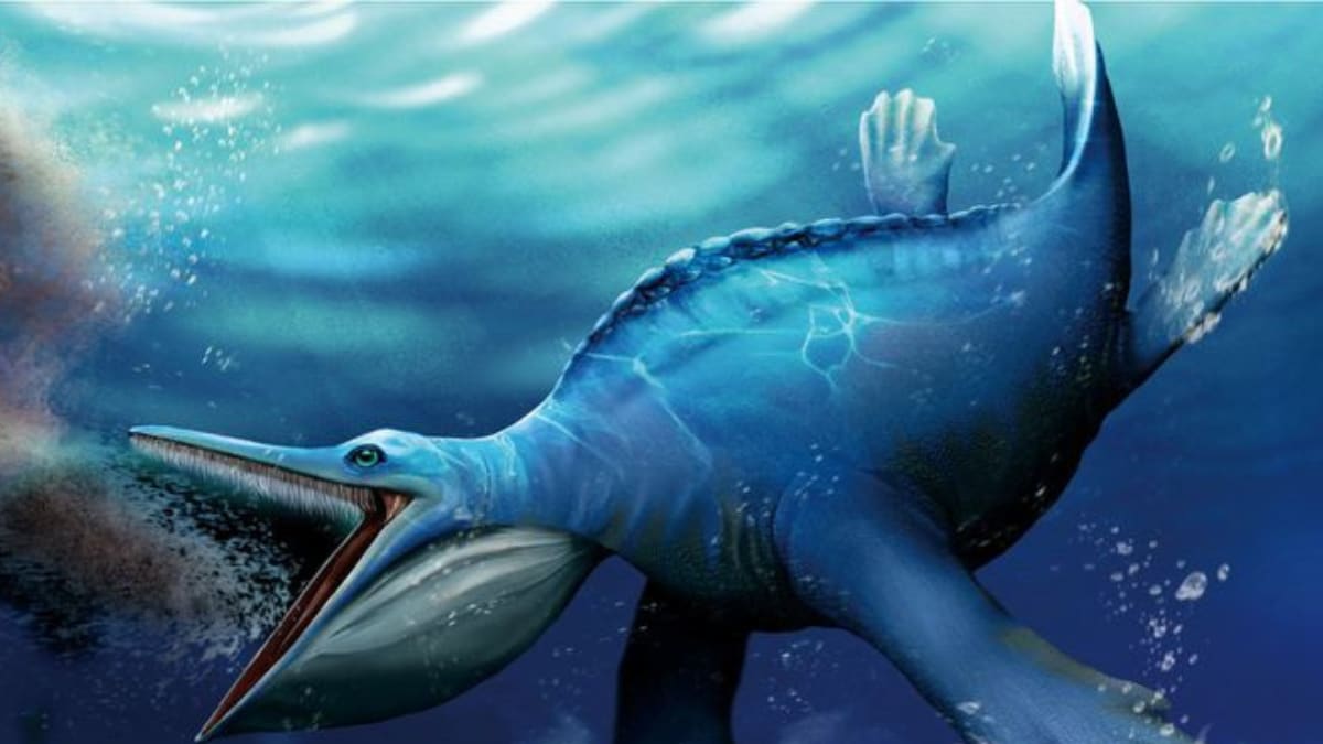 Long Before Whales, Pioneering Marine Reptile Was a Filterfeeder News18