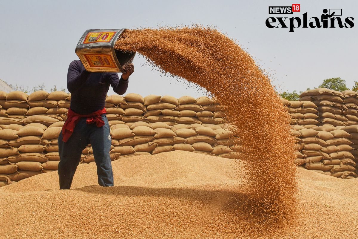 Wheat Stock Limit: Govt Tightens Norms To Curb Hoarding, Check Price Rise