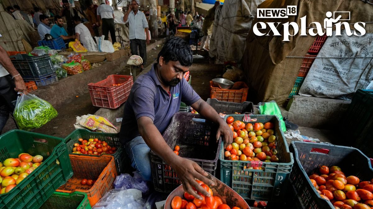 Why are Tomato Prices So High and the Reason Behind Prices Not Coming Down Soon