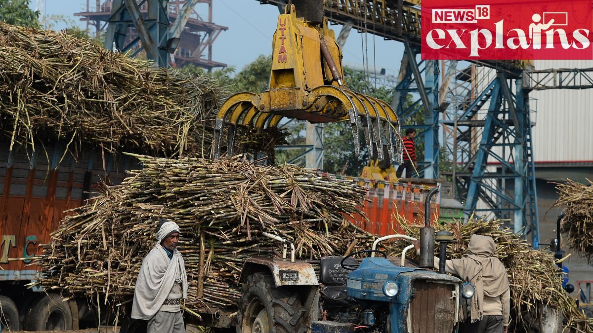 After Ban on Export of Rice, India to Impose Curbs on Sugar? | Explained - Vimarsana News