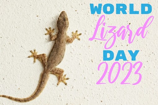 World Lizard Day 2023: History, Significance, and 5 Common
