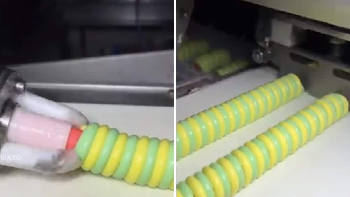 This Viral Video From Ice Cream Factory Is Making Internet Scream ‘No Please’ – News18