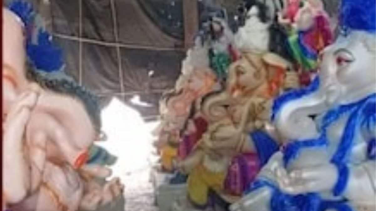 Be Careful of Stingray and Jellyfish Bites During Ganesh Idol Immersion in Sea: Mumbai Civic Body - Vimarsana News