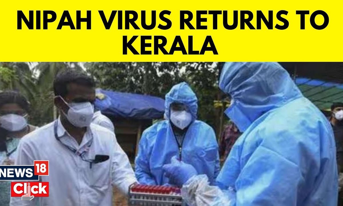 nipah virus news 2024