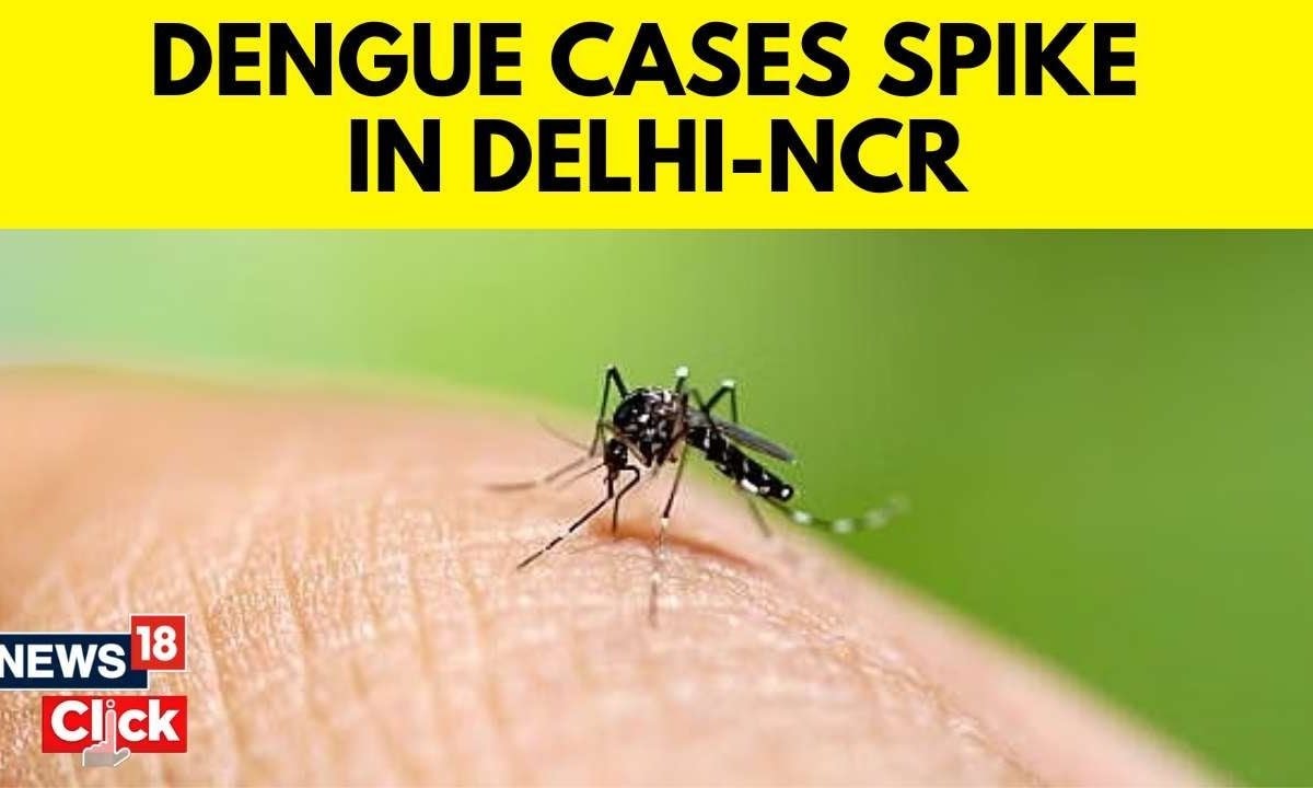 Dengue Cases In Delhi 2023 | Dengue And Viral Fever Cases Increase In ...