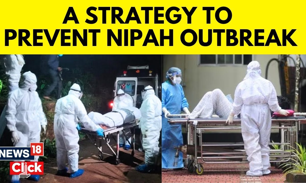 nipah virus news english