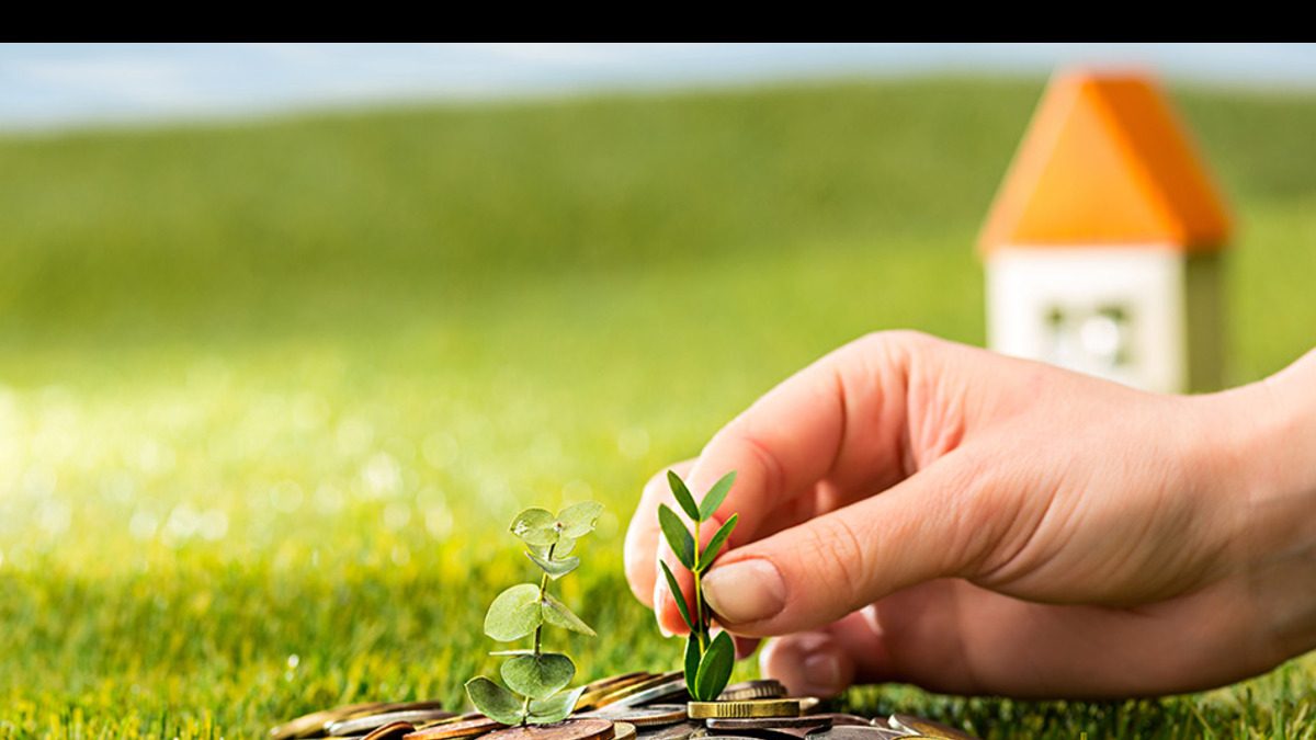 How do Tax-Saver FDs Help Save Tax? Important Points to Know - Vimarsana News
