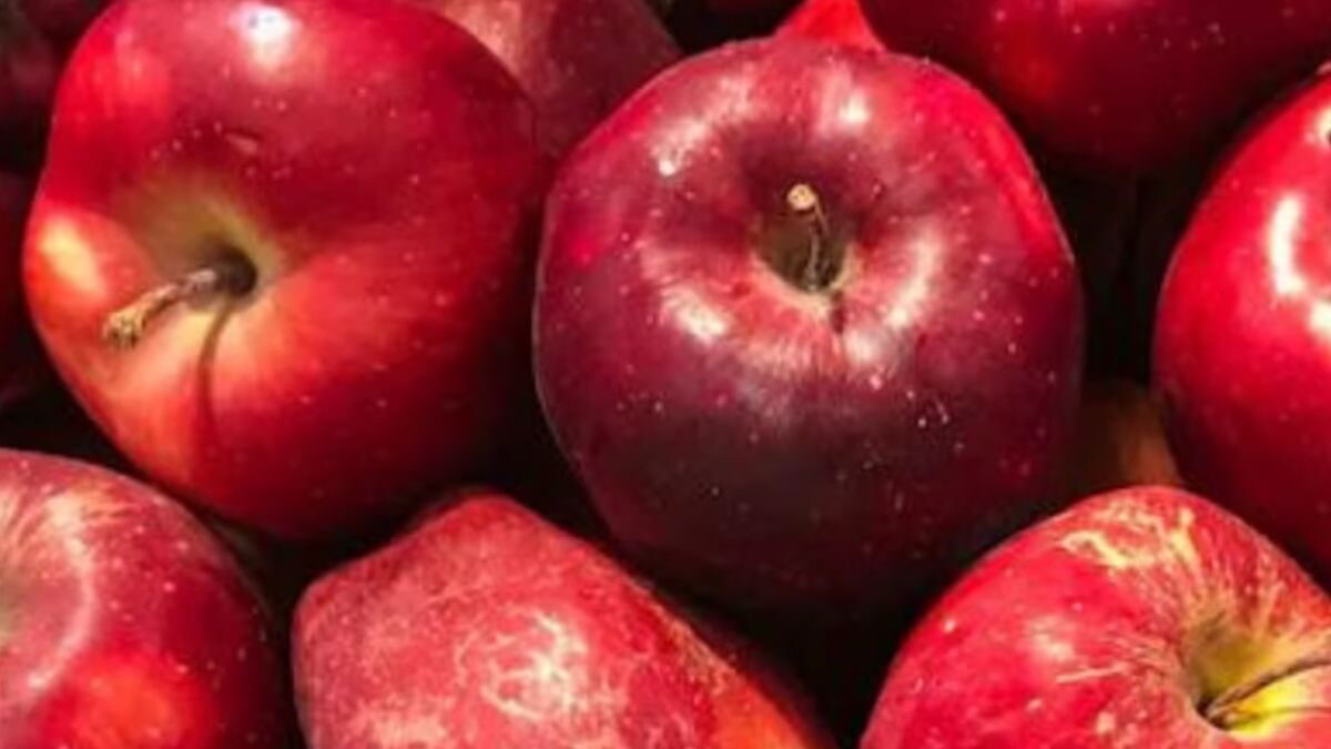 West Bengal Man Comes to Delhi to Buy Apples, Gets Kidnapped By Friend For Rs 3 Lakh - Vimarsana News