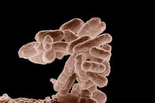 Scientist Engineered Bacteria to Generate Electricity From Wastewater. (Credits: Reuters)