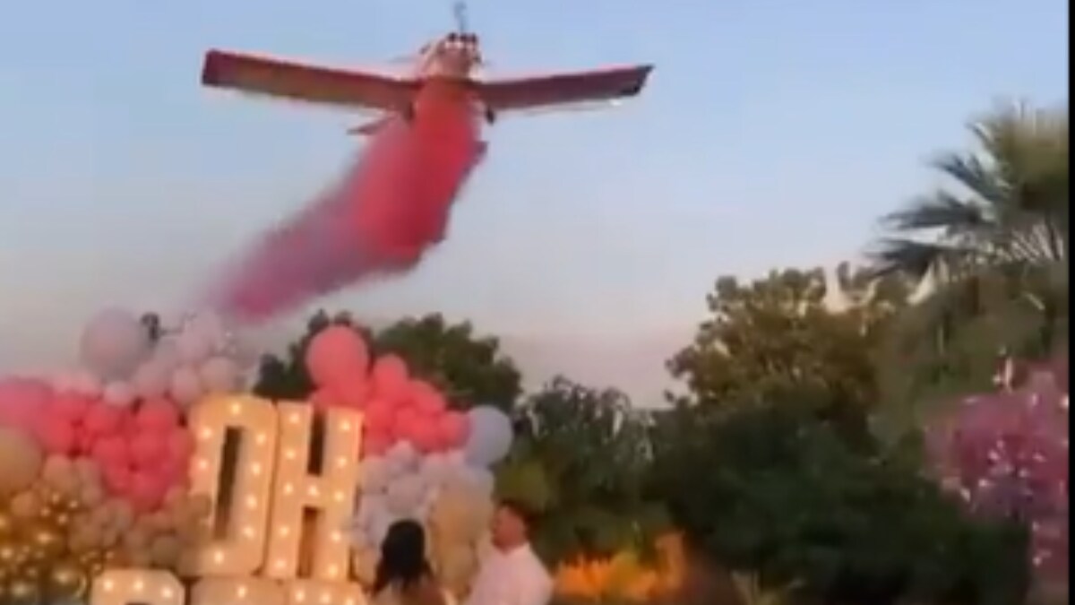 Caught On Cam: Gender Reveal Party Turns Into Horror Scene As Plane Crashes