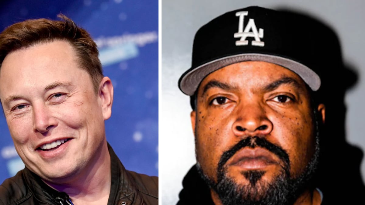 Elon Musk And Ice Cube Go Head-To-Head In Hilarious Meme Showdown - News18