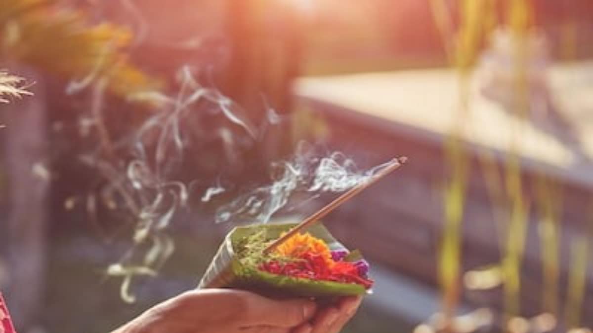Pitru Paksha 2023: Avoid These Vegetables During The 16-Day Period Pitru Paksha 2023: Avoid These Vegetables During The 16-Day Period