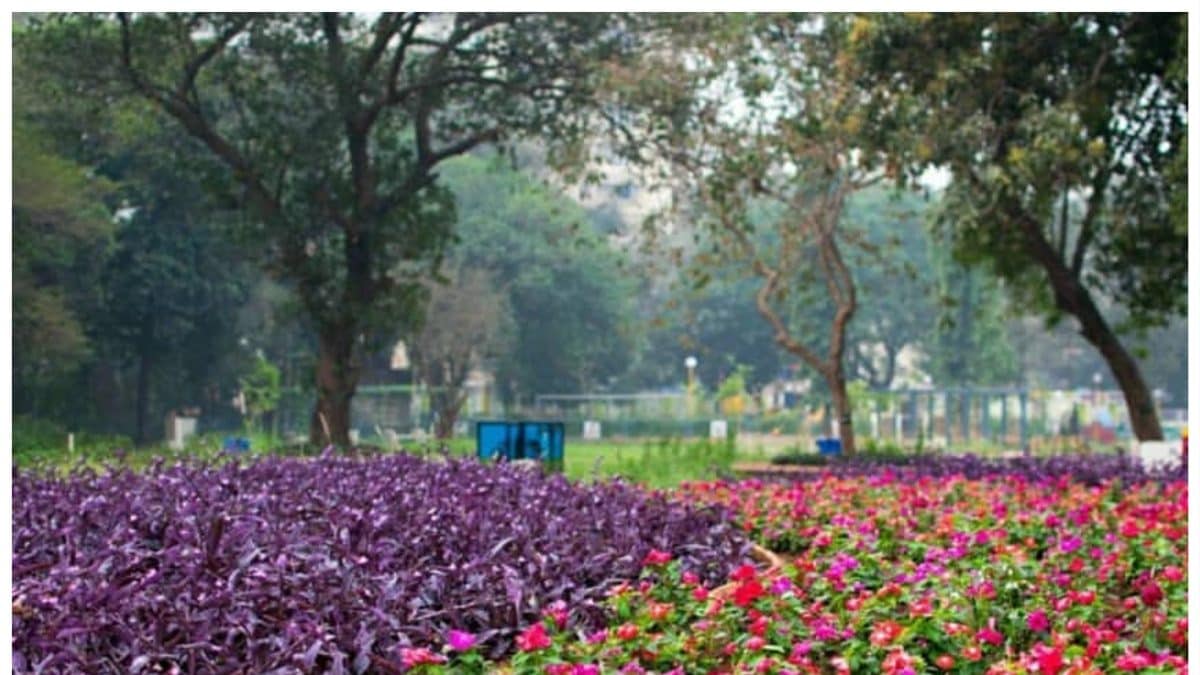 This World Tourism Day: Become a Tourist in Your Own City – News18 This World Tourism Day: Become a Tourist in Your Own City – News18