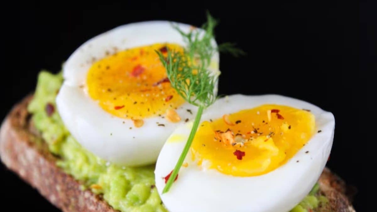 Limited Consumption Of Eggs Has No Adverse Effect On Blood Sugar Level: Study –