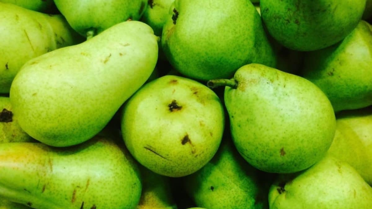 Woman Raids Grandma's Pantry, Finds Pears From 1999 News18