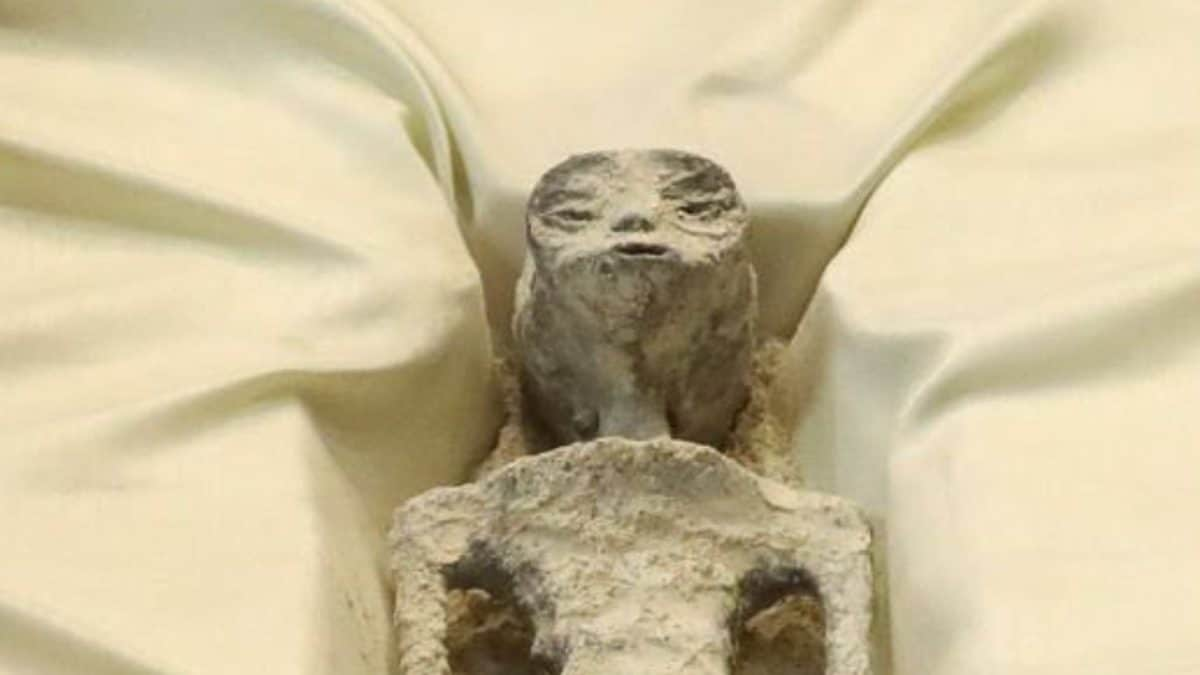 Mexico's Alien Corpses Become Fodder For Meme Fest