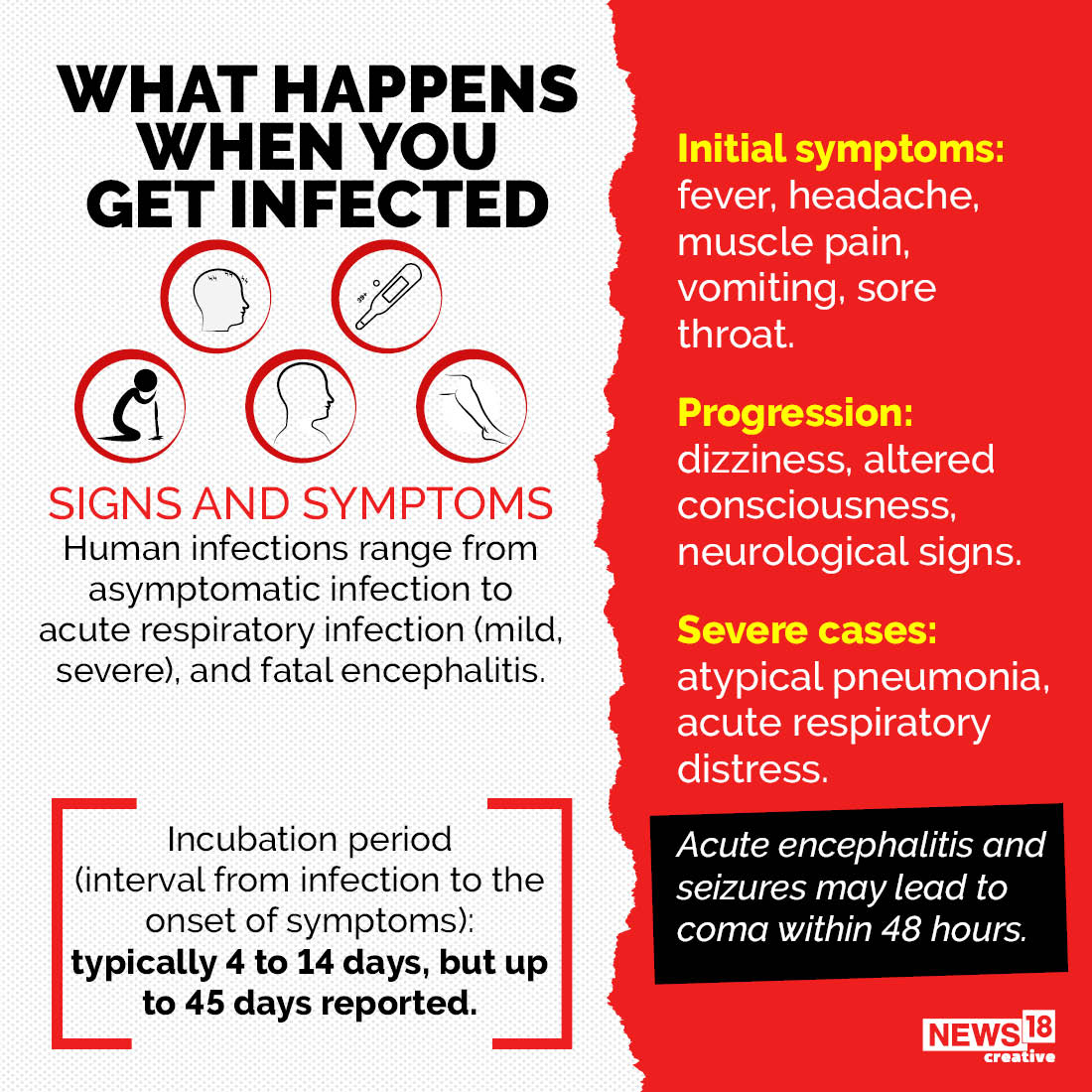 Nipah Fear Back Again: From Symptoms to Transmission, All You Need to ...