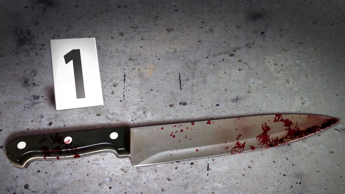 Ohio Woman Beats Mother with Skillet, Stabs Her 30 Times after She Discovers Her Secret