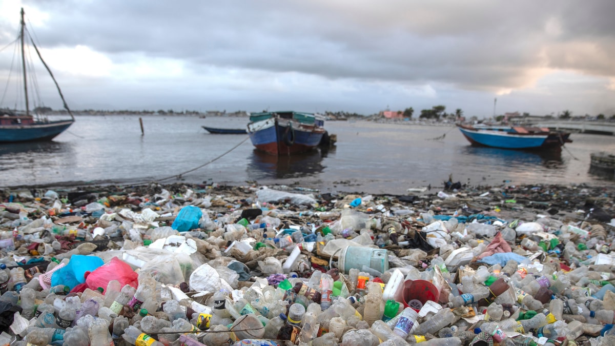 Beating Plastic Pollution: Innovative Ways in Which India is Tackling the Problem – News18 Beating Plastic Pollution: Innovative Ways in Which India is Tackling the Problem – News18