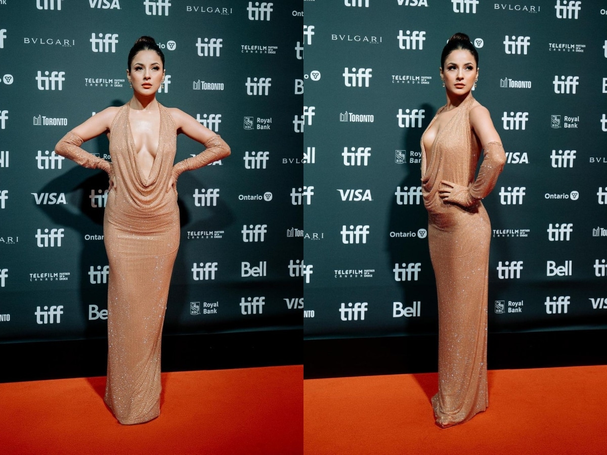 Sexy! Shehnaaz Gill Goes Bold In A Plunging Neckline Nude Gown On TIFF Red  Carpet; See Viral Photos - News18