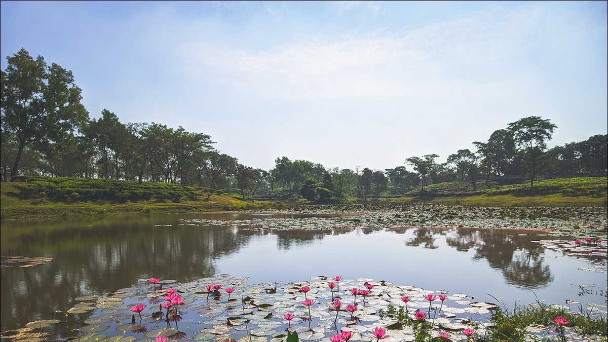 India's 'Pond Man' gave his lucrative job to restore water bodies for a sustainable future - Vimarsana News