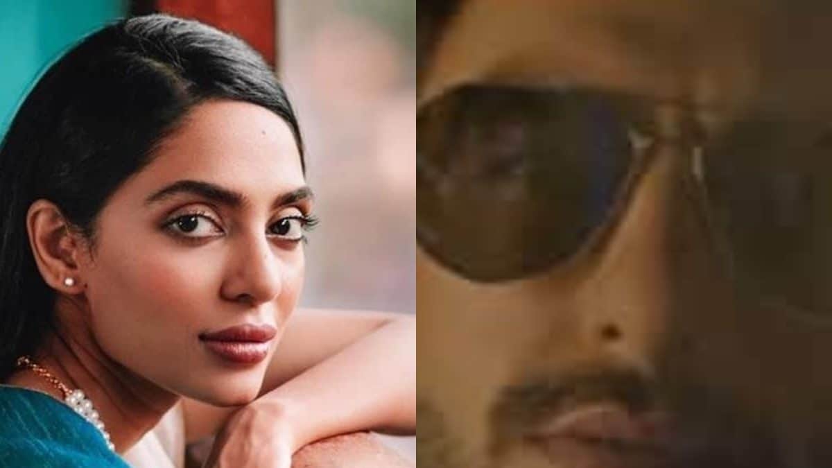 Don 3: Sobhita Dhulipala Wishes To Play The Female Lead Opposite Ranveer Singh: ‘I Would Be Thrilled’ –